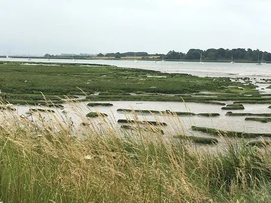 Levington Lagoon