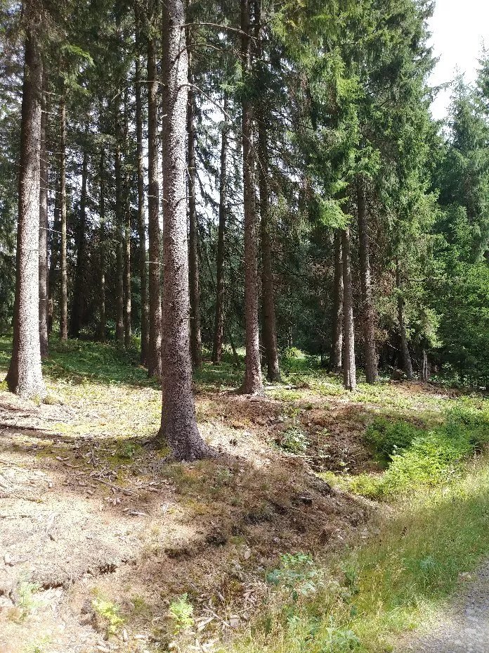 Campingplatz Braunlage