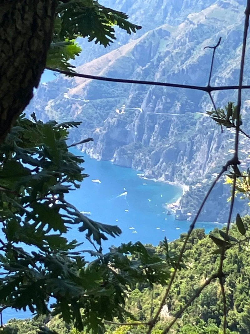 Il Vigneto Di Nonno Pietro
