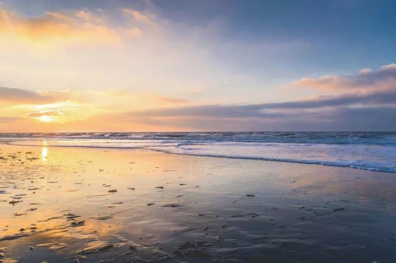 Knus Verblijf aan de Rand van de Duinen, Strand, Bollenstreek en Stad Haarlem