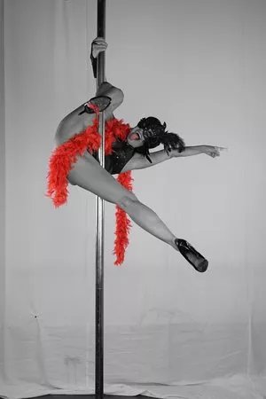 Pole Dance Schule Frankfurt