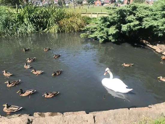 Nicholas Evirett Park Oulton Broad