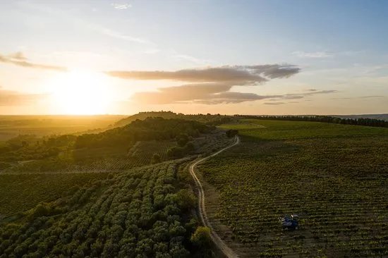 Domaine de Soustres