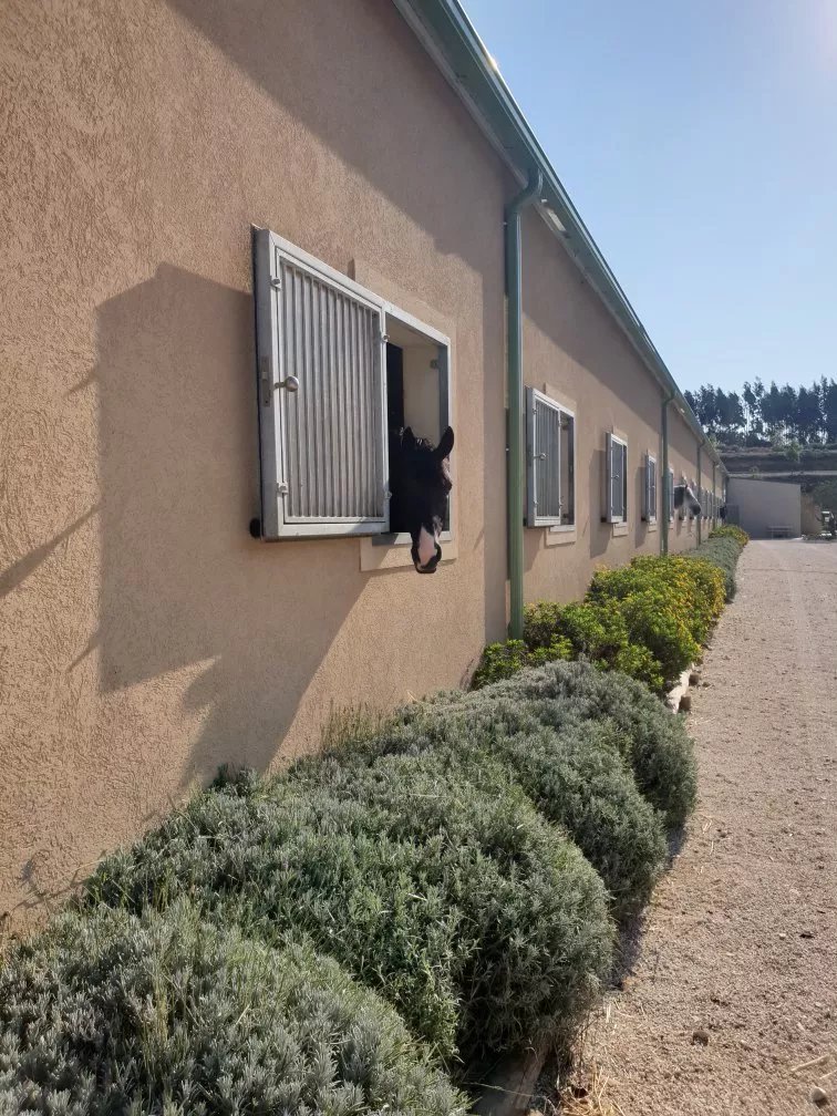 Quinta do Moinho