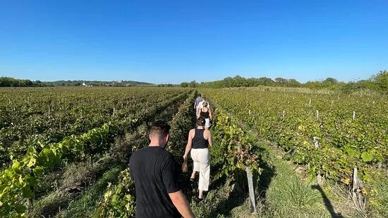 Bordeaux Hidden Gems