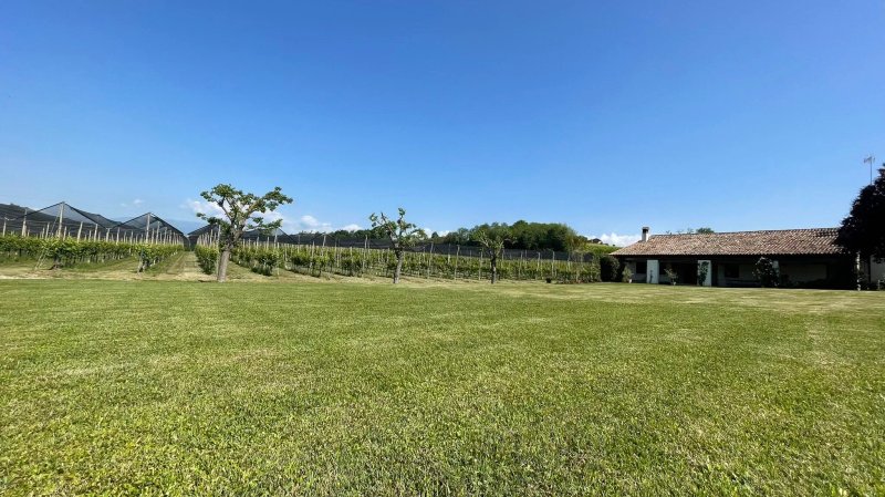 Azienda Agricola San Giuseppe