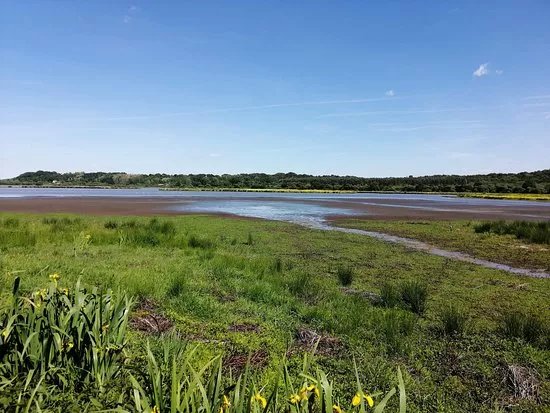 Reserve Naturelle Du Marais D'orx