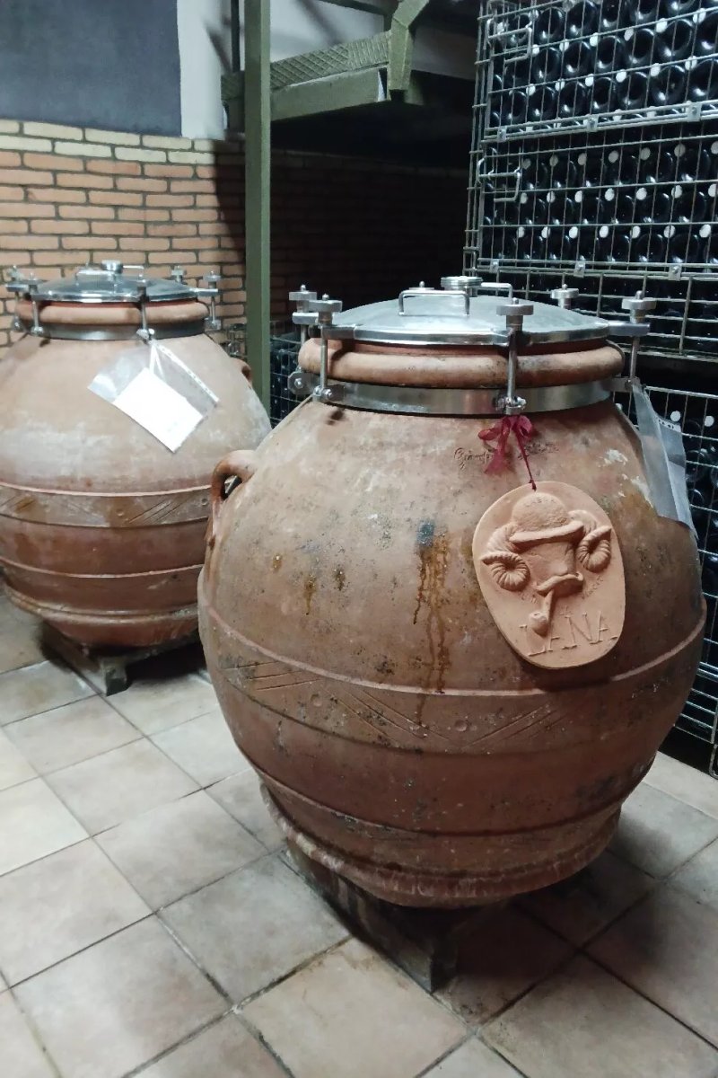 Cantina Di Monteroduni Srl
