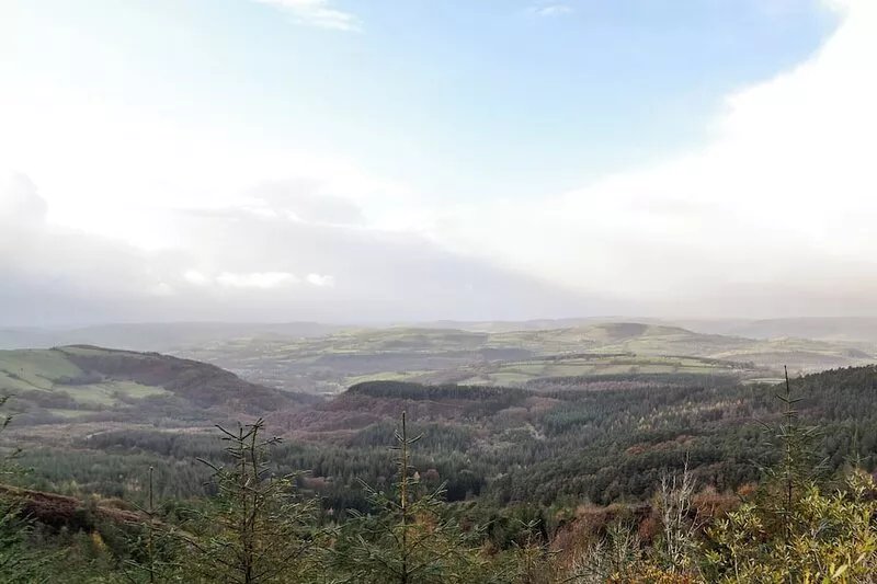 1 bedroom accommodation in Near Llandovery
