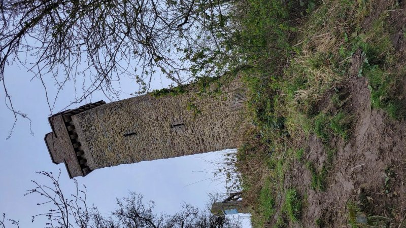 Flounders folly