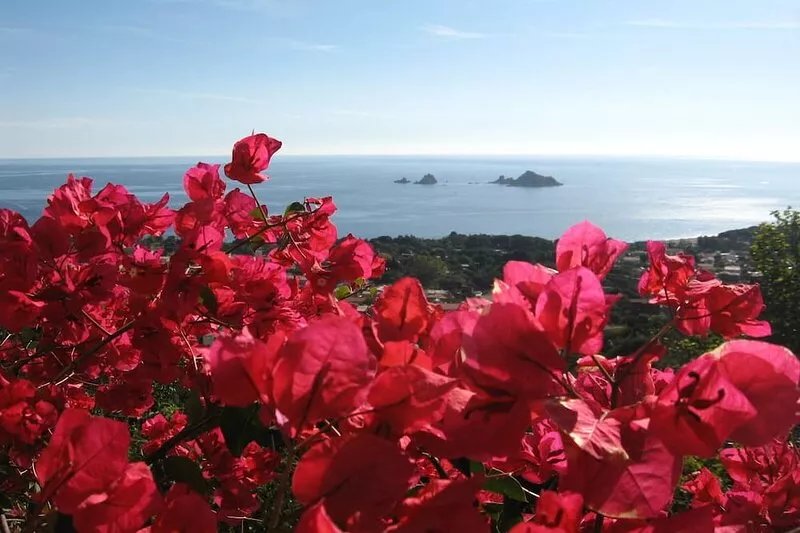 Independent apartment 700 meters from the sea with panoramic views
