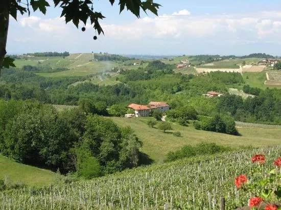 Azienda Agricola Osvaldo Barberis