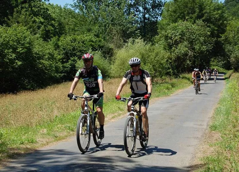 Bikee Rent | It's Better by Bike