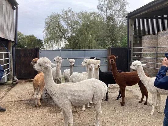 Botany Bay Farm