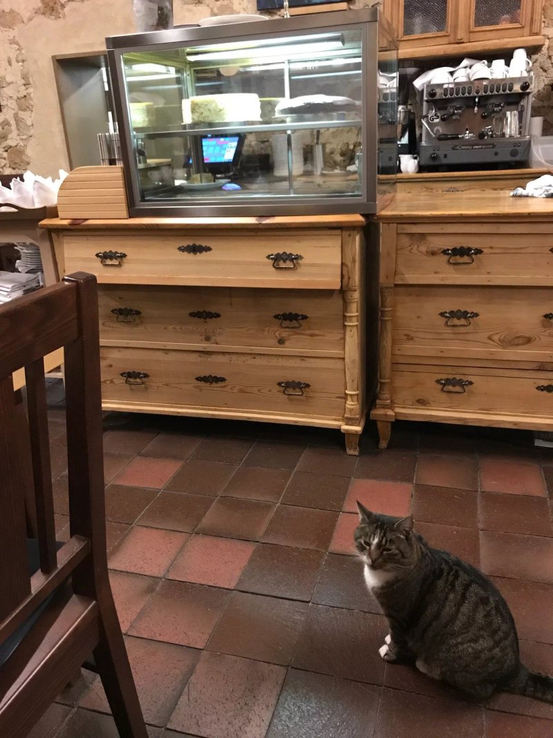 Cafe & Taverne Hammermuhle