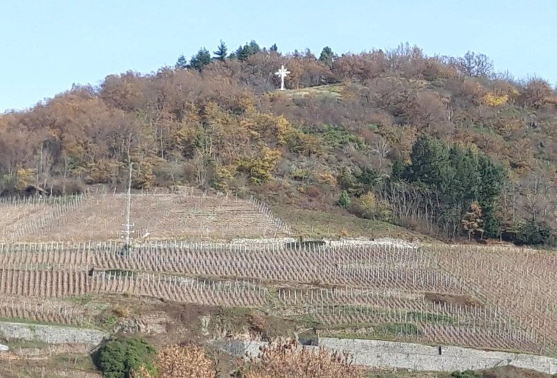 Vignoble Du Rangen
