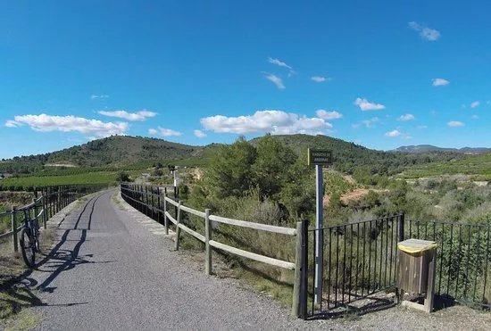 Mediterranean Bike Tours
