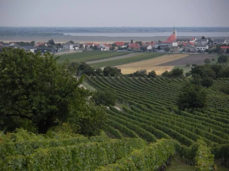 Winzerhof-Gastehaus Richter