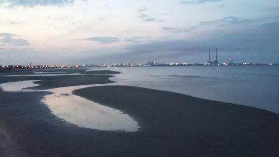 Booterstown Bird Sanctuary