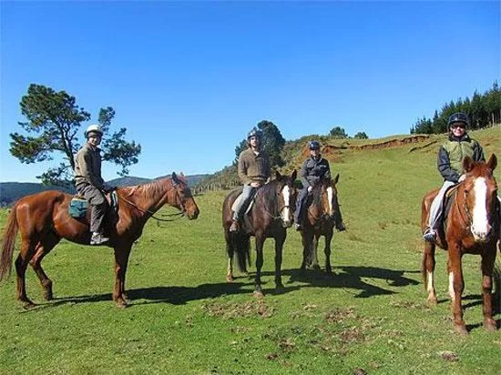 Horse Riding North Wales