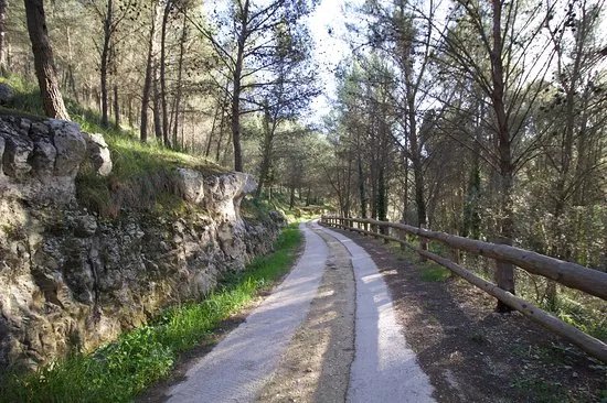 Parco forestale Calaforno