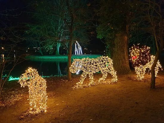 Lumina Park Wroclaw - Tajemnicze Ogrody