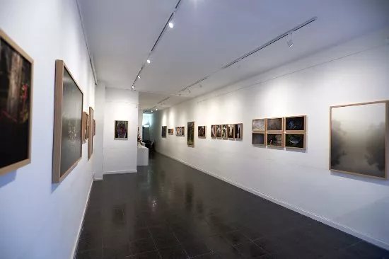Fifty Dots Gallery