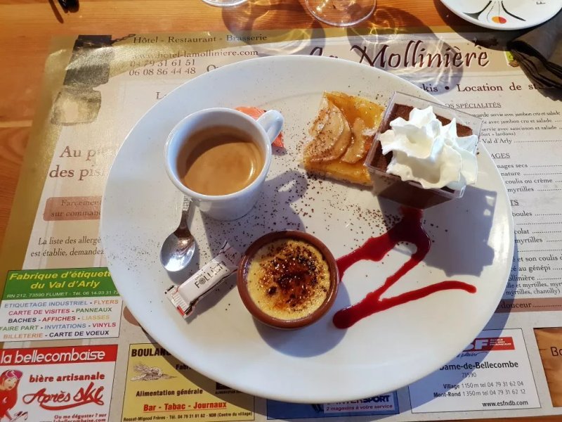 Logis Hotel la Molliniere