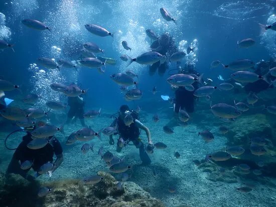 Just Scuba Diving Centre
