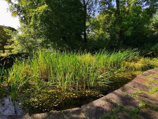 Colintraive Community Garden