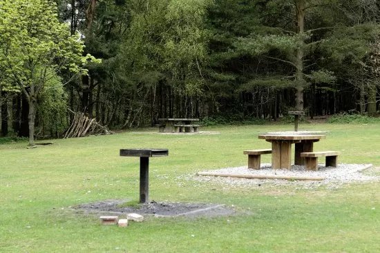 Wendover Woods