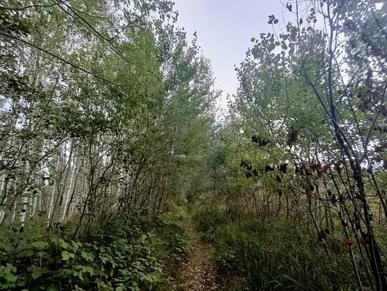 Riserva Naturale della Vauda