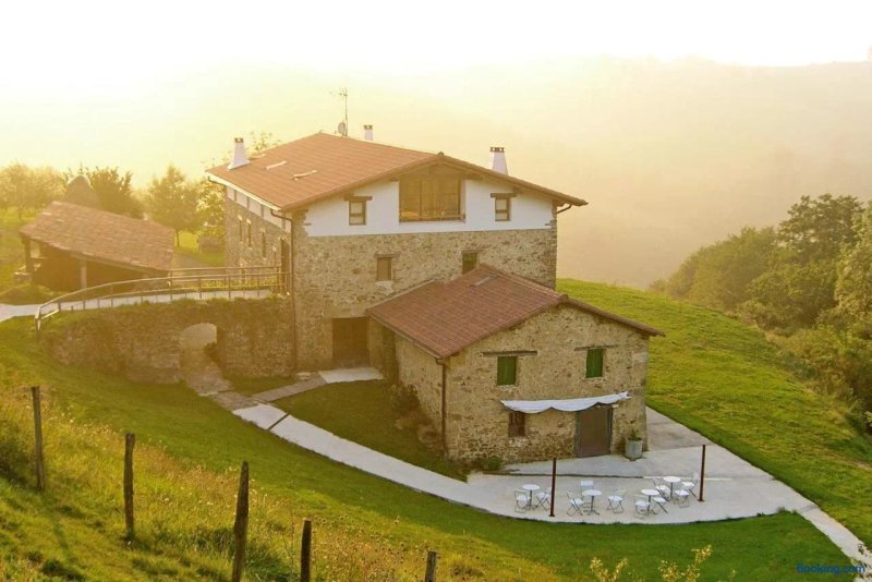 Manarinegi