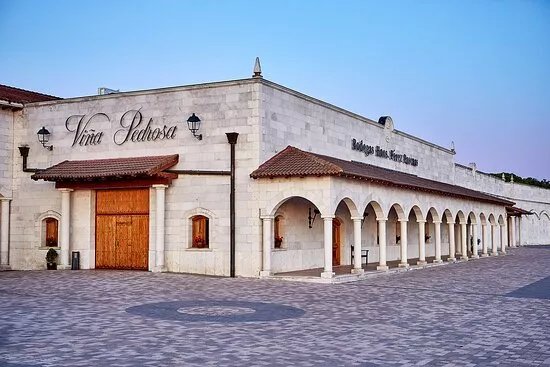 Bodegas Hermanos Perez Pascuas - Vina Pedrosa