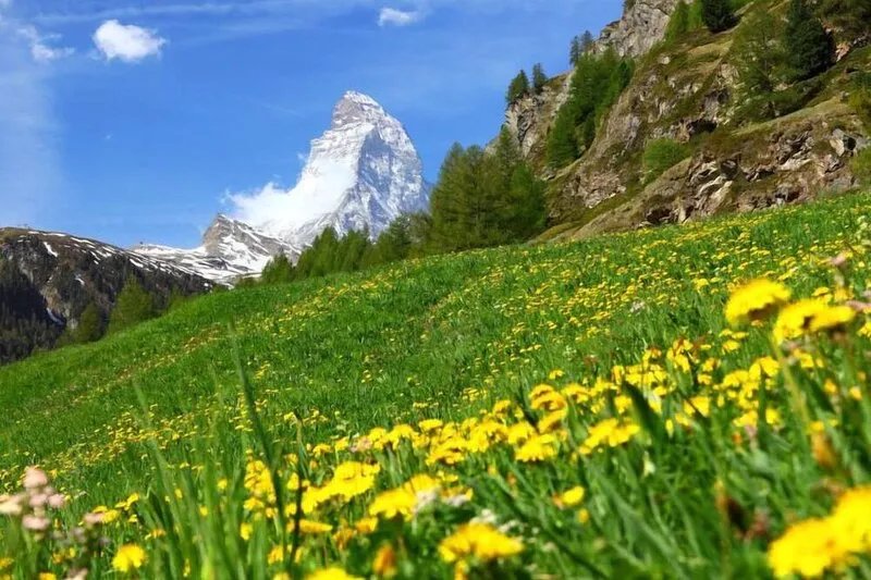 Apartment Bodmen A  in Zermatt, Valais - 6 persons, 3 bedrooms