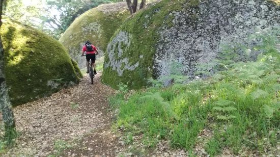 MTB in Portugal