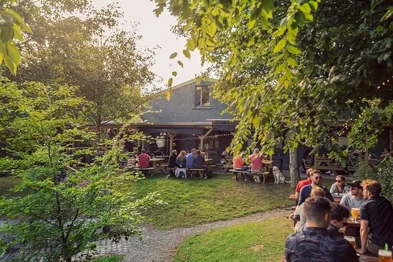 Carlingford Brewing Company