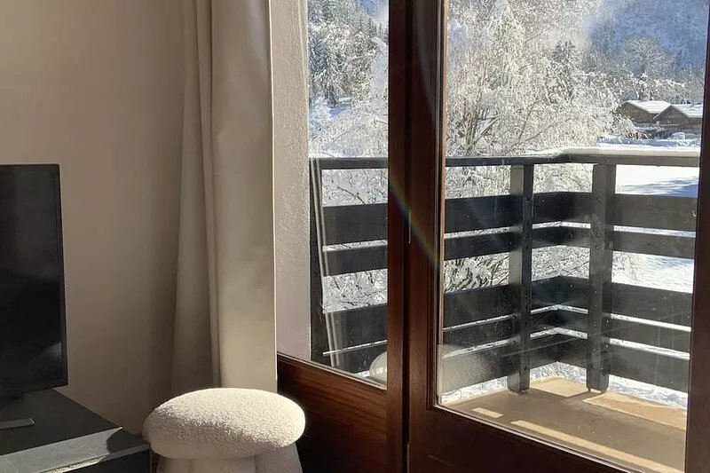 Bright, comfortable apartment with large balcony and Mont Blanc view