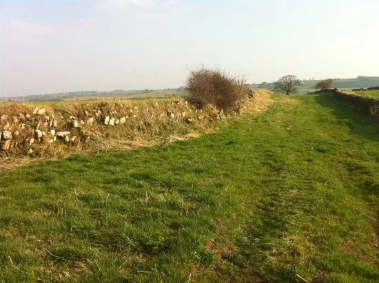 Lanchester Roman Fort
