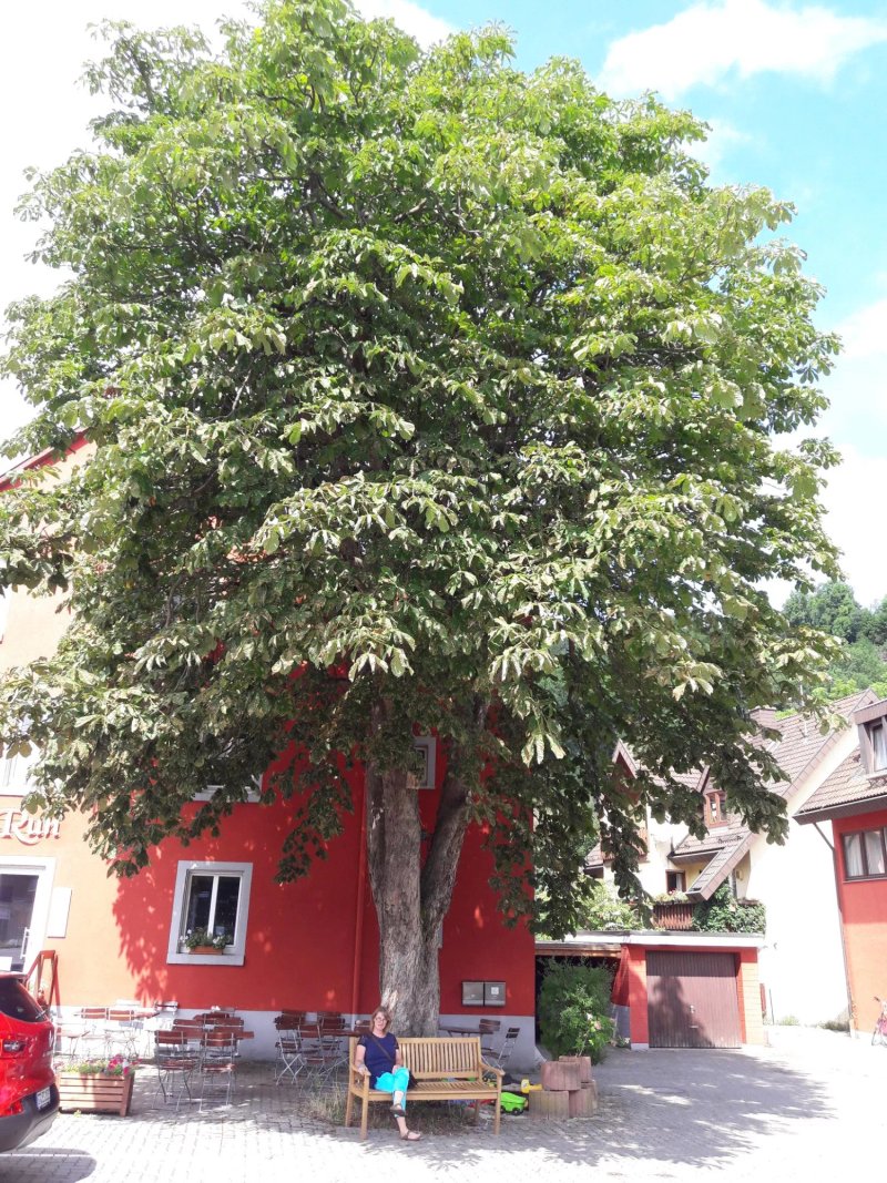 Gasthaus Ruh