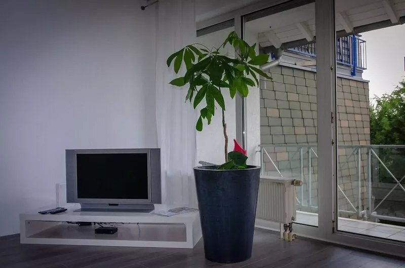 Top location, design apartment, newly renovated - central location in the Rhein