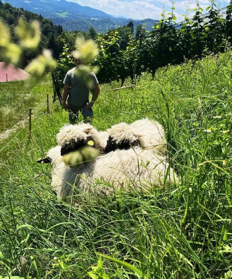 Familie Peter und Effi Grill