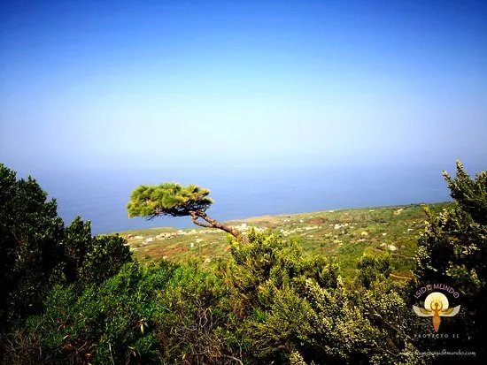 Parque Tanausu