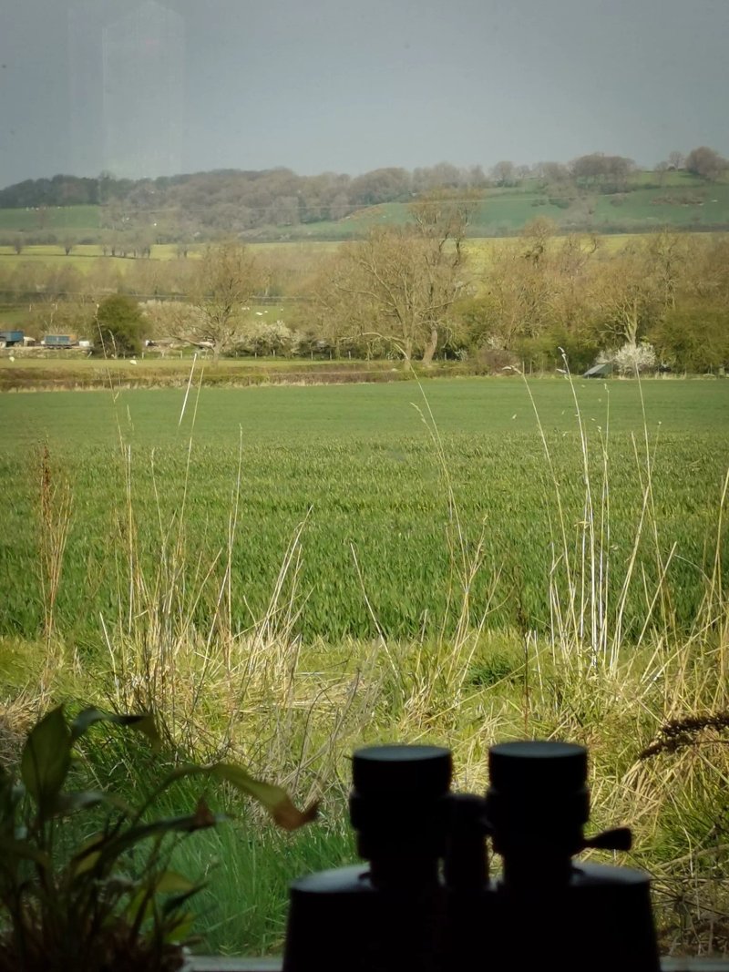 Pen-y-Bryn Bed & Breakfast