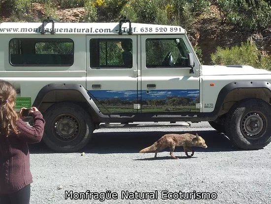 Monfrague Natural Ecoturismo