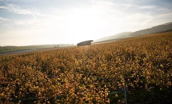 Domaine De Gourmandaz