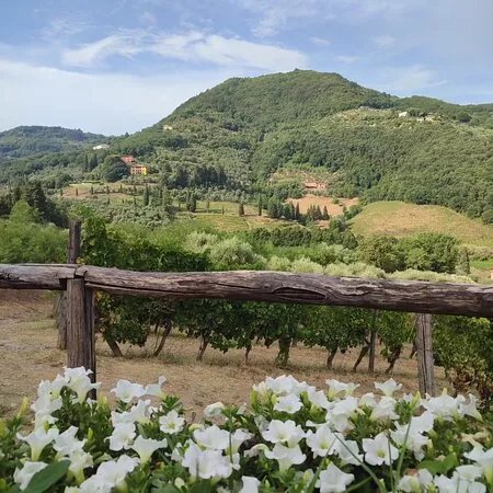 Tenuta Adamo Winery