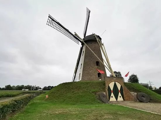 Windlust
