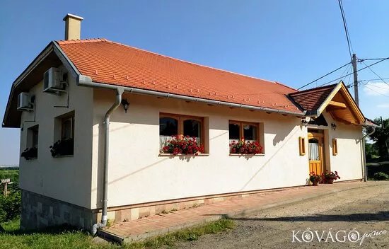 Kovago pince