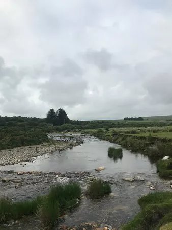 Upper Plym Valley